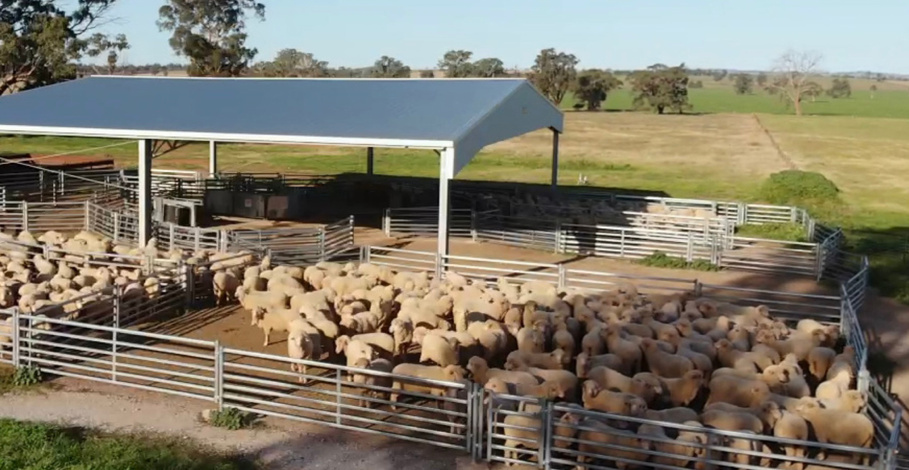 Covered feedlot